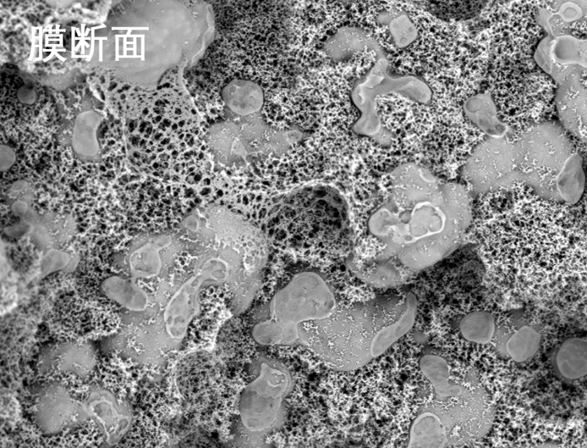 午夜福利合集燒結管式膜電鏡照片